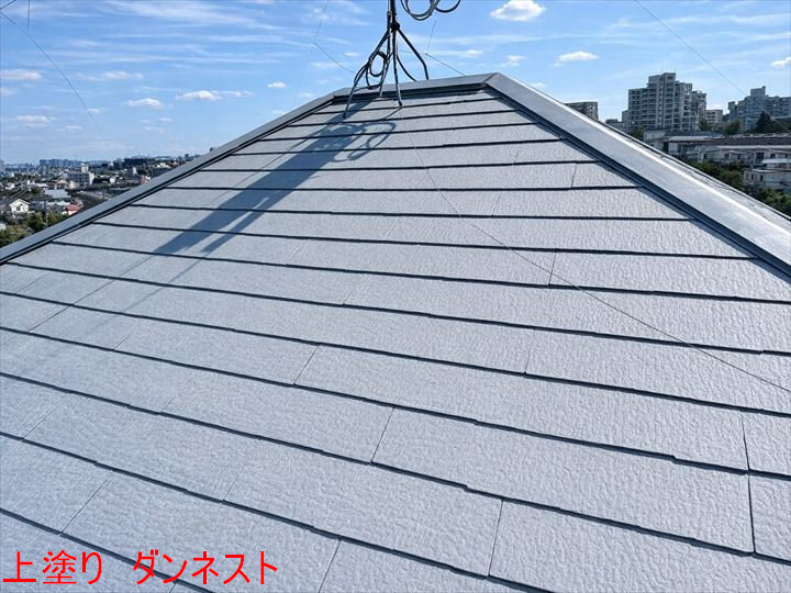 上塗り　ダンネスト